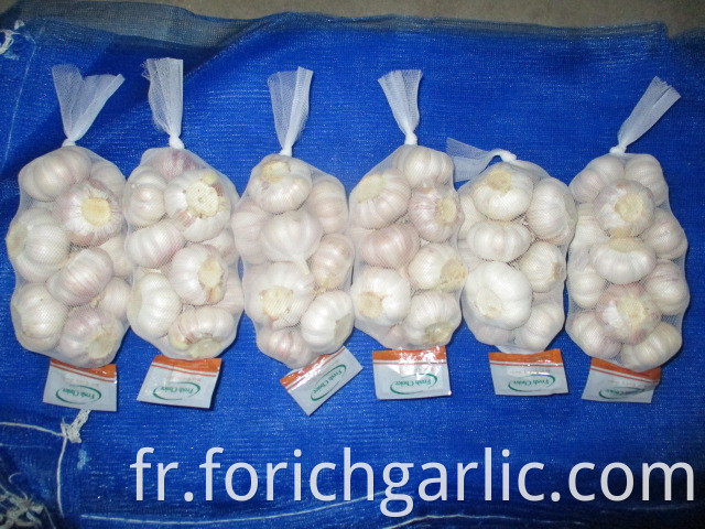 Jinxiang Fresh Normal White Garlic